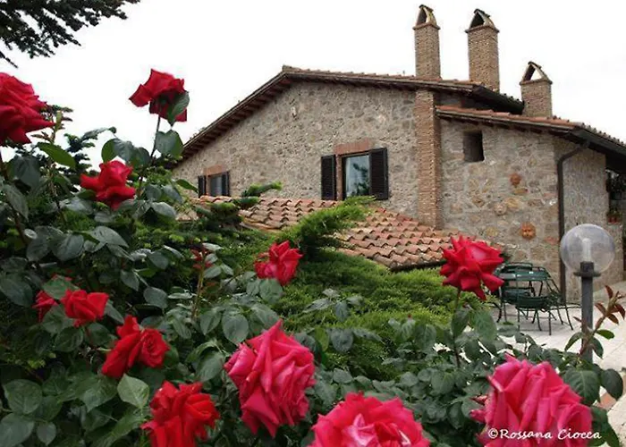 Podere 3 Querce マンチャーノ