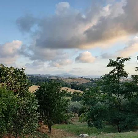 Podere 3 Querce マンチャーノ