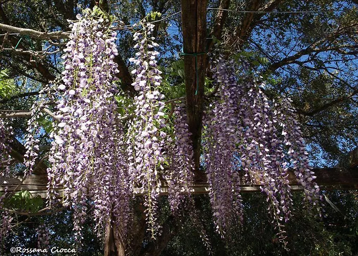 Podere 3 Querce Bauernhof *